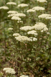 Similar image 21894502