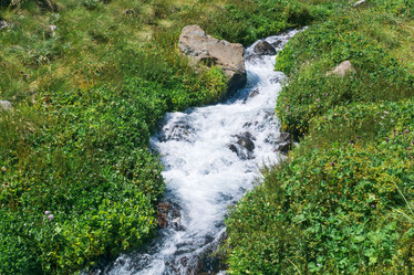 Similar image 21894298