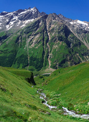 Similar image 21894310