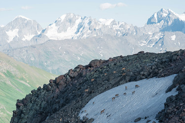 Similar image 21894325