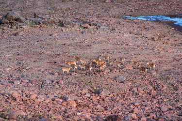 Similar image 21894327