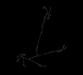 Similar image 21893502