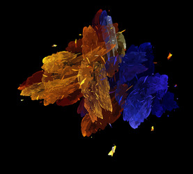 Similar image 21893566