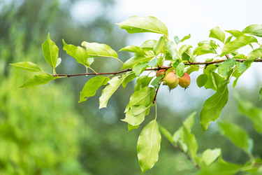 Similar image 21894237