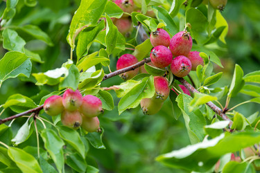 Similar image 21894238