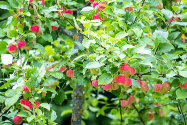 Similar image 21894239