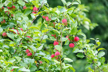 Similar image 21894240