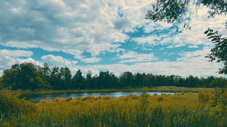 Similar image 21892361