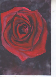 Similar image 21894246