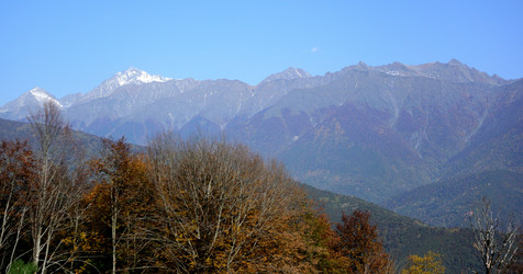 Similar image 21894343