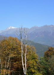 Similar image 21894347