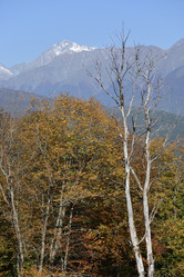 Similar image 21894348