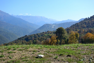 Similar image 21894359