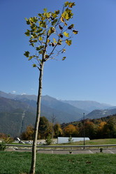 Similar image 21894360