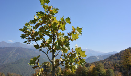 Similar image 21894361