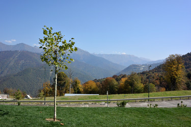 Similar image 21894362