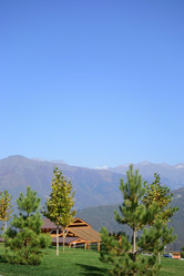 Similar image 21894367