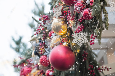 Similar image 21894591