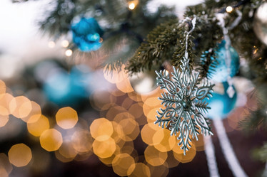 Similar image 21894592