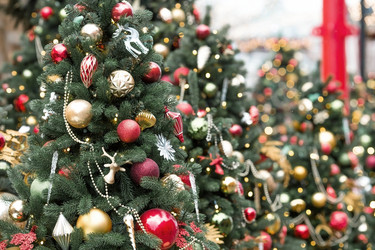 Similar image 21894599