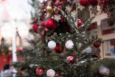 Similar image 21894602