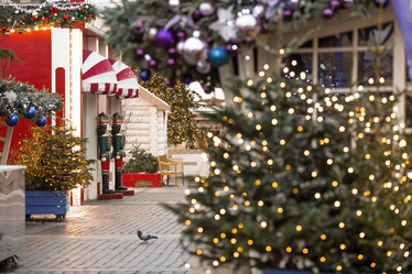 Similar image 21894604