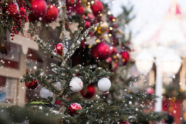 Similar image 21894605