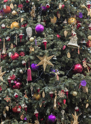 Similar image 21894621