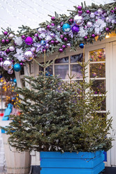 Similar image 21894624