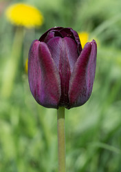 Similar image 21894835