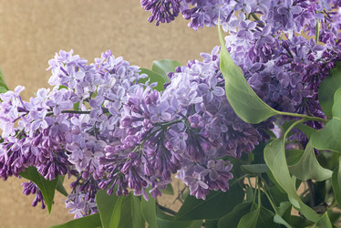 Similar image 21894836