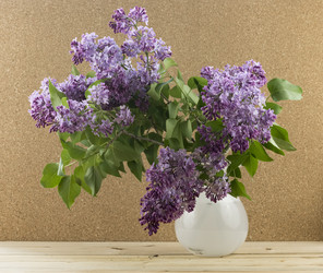 Similar image 21894837