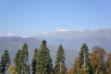 Similar image 21894803