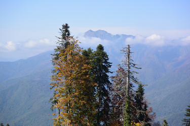 Similar image 21894804