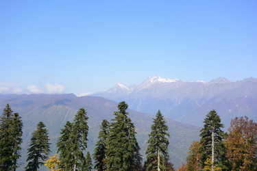 Similar image 21894805