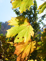 Similar image 21894806