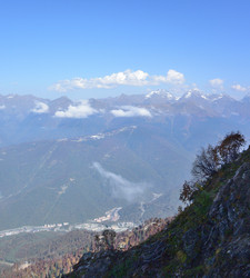 Similar image 21894809