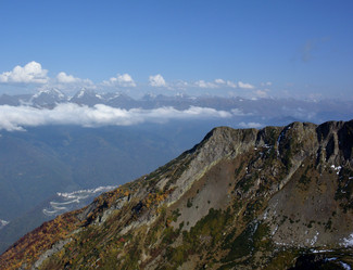 Similar image 21894817