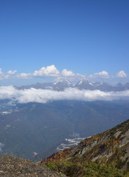 Similar image 21894818