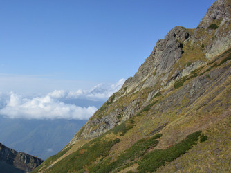 Similar image 21894823