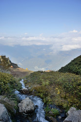 Similar image 21894828