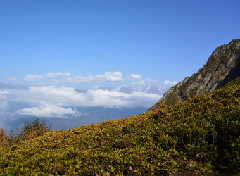 Similar image 21894829