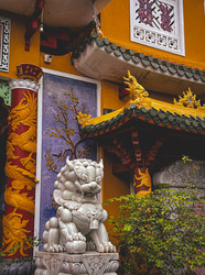 Similar image 21895019