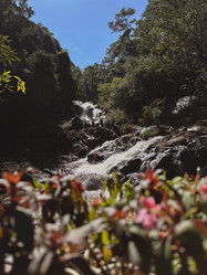 Similar image 21895027