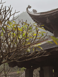 Similar image 21895028