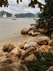 Similar image 21895029