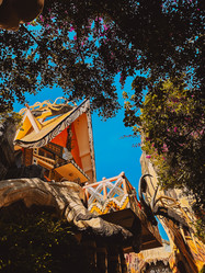 Similar image 21895032