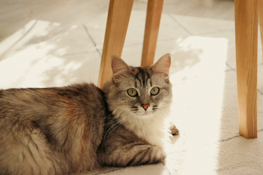 Similar image 21895033