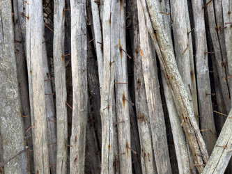 Similar image 21896463