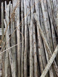 Similar image 21896464